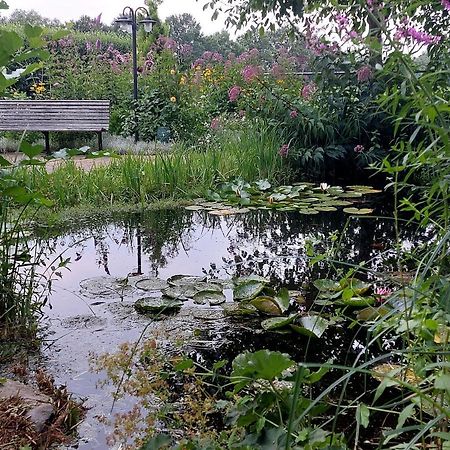 Vakantiehuisje Achter Odiliapeel Zewnętrze zdjęcie