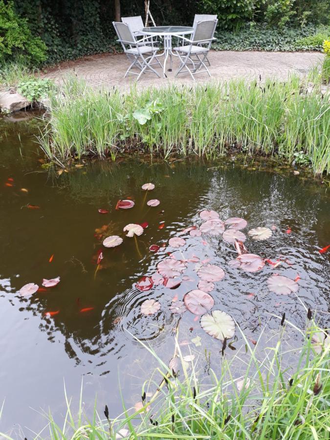 Vakantiehuisje Achter Odiliapeel Zewnętrze zdjęcie